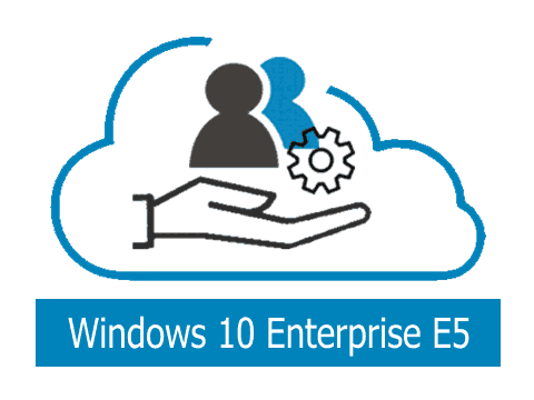 Windows 10 Enterprise E5 - prices, licenses, support